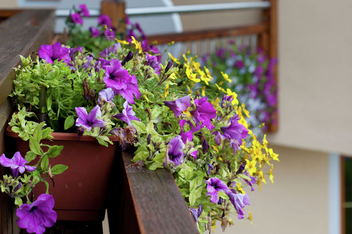 TerraceBalcony