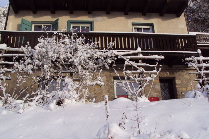 ExteriorWinter