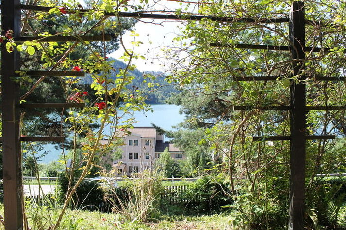 ViewSummer