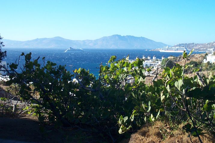 view of the windmills of town, & Tinos island in the distance