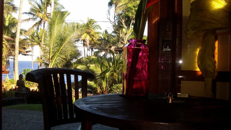 View from the living room
