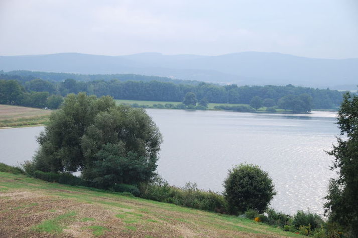 ViewSummer