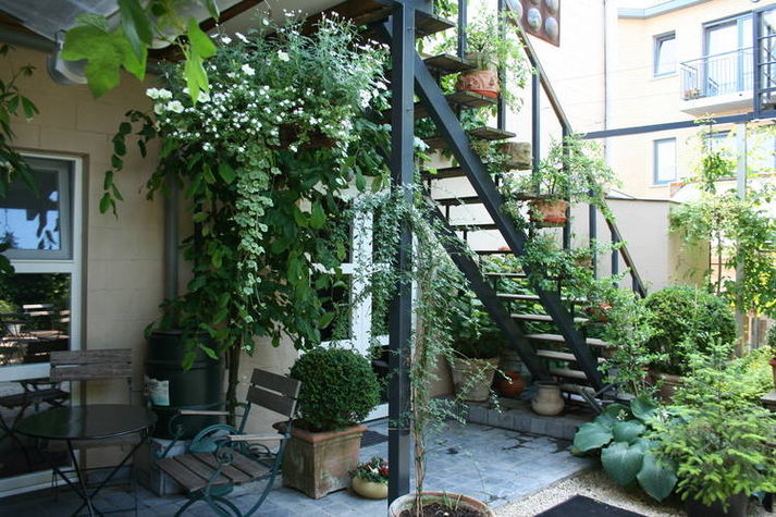 GardenSummer