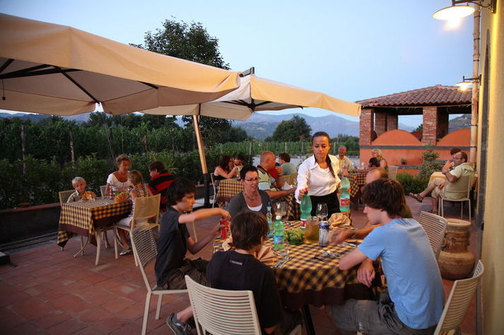 GardenSummer