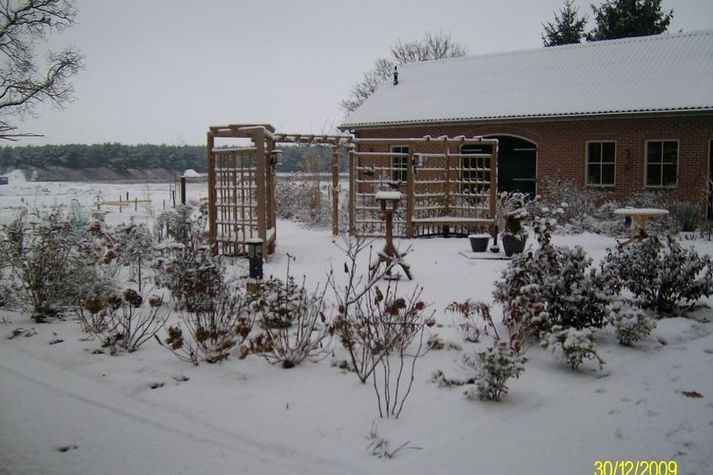 GardenWinter