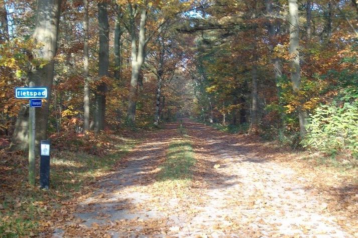 AreaWinter1KM