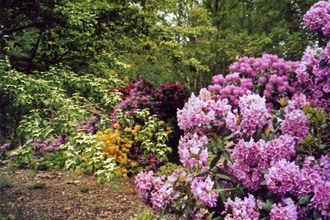 GardenSummer