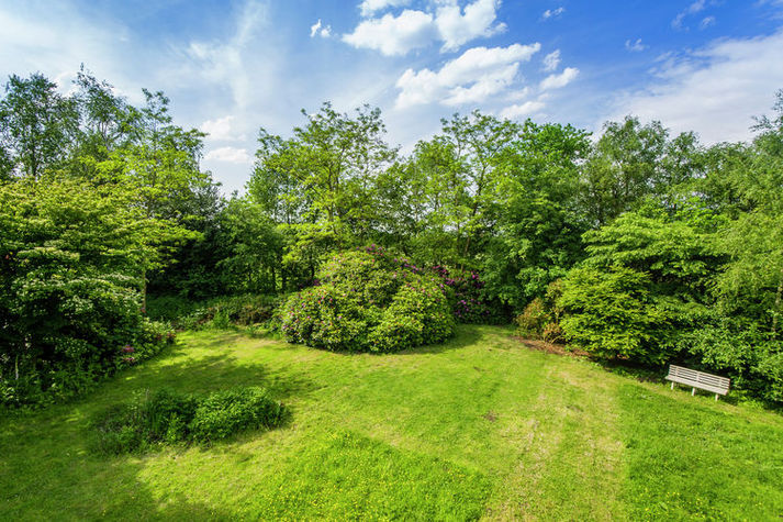 GardenSummer