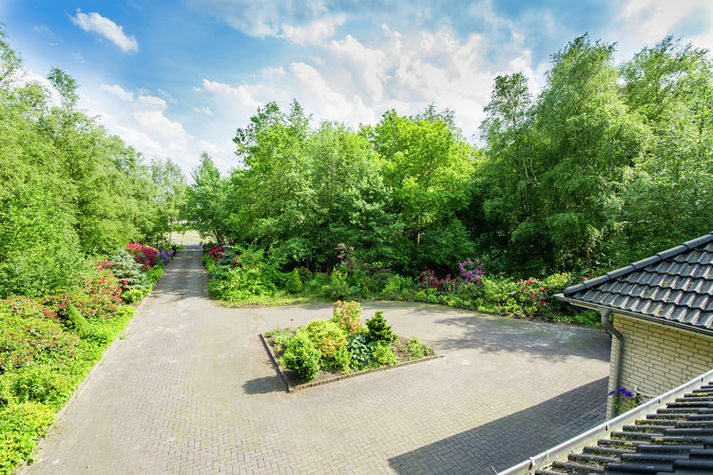 GardenSummer