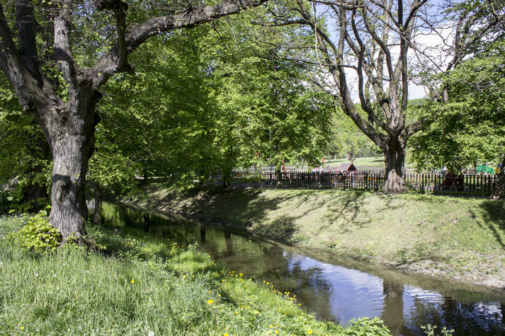 Beautiful Nature in neigbourhood