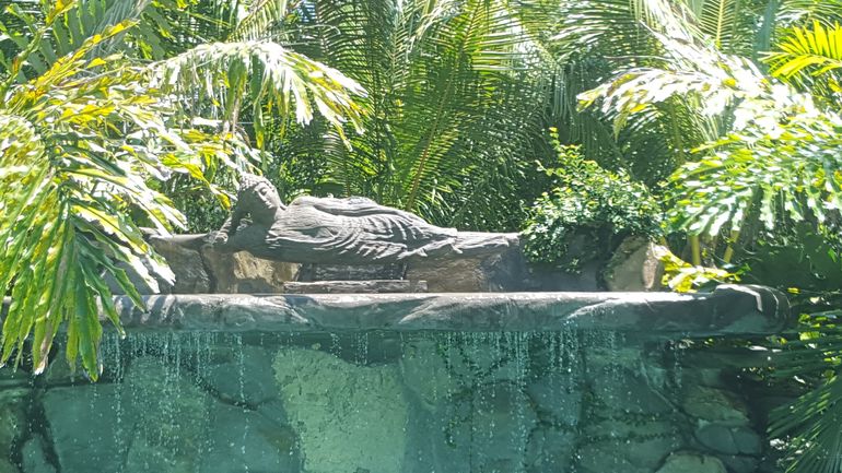 Pool waterfall 