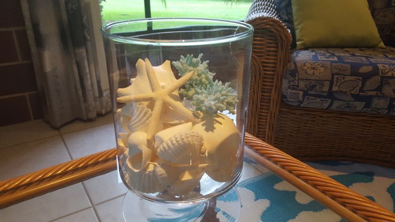 shell decor
