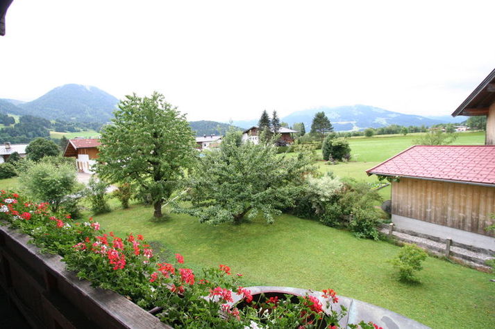 ViewSummer