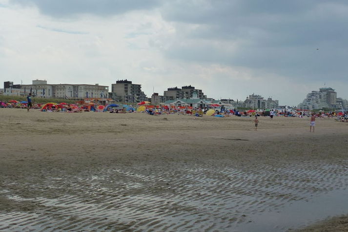 AreaSummer1KM