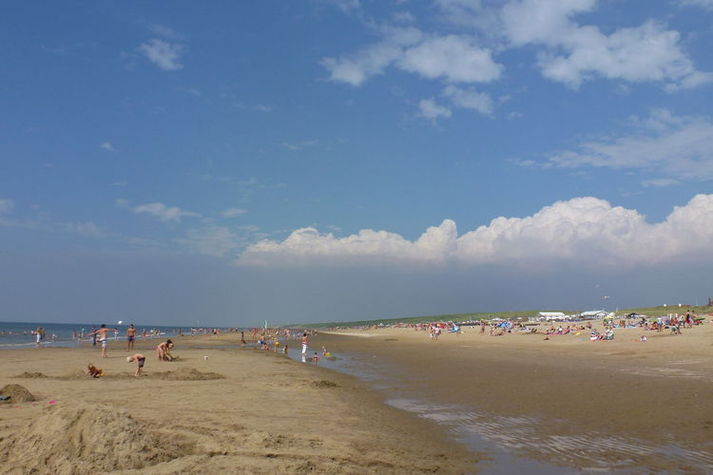 AreaSummer1KM