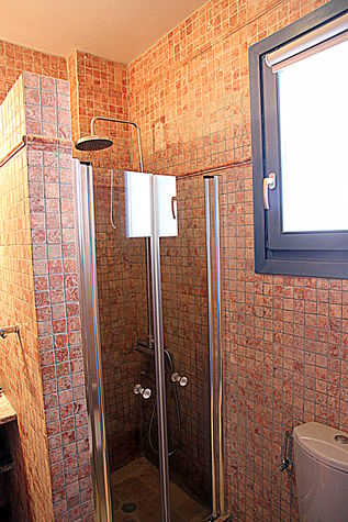 Walk in Rain Shower at lower level's Bathroom