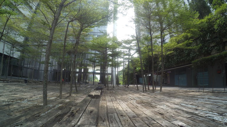 Garden and Smoking Area