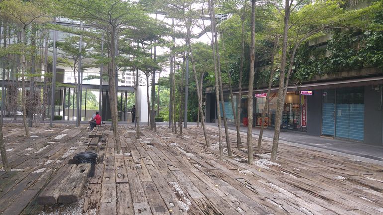 Garden area with a convenient store