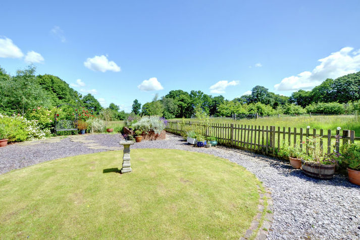 GardenSummer