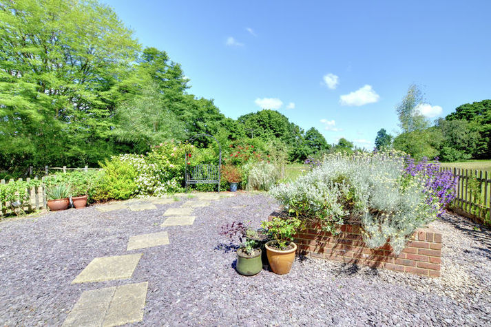 GardenSummer