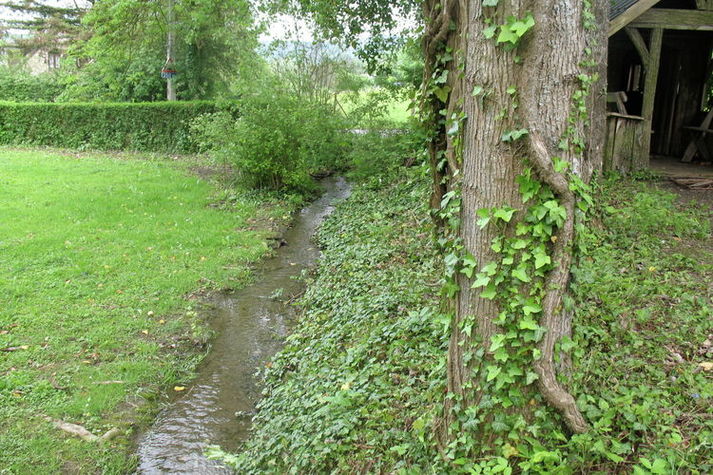 GardenSummer