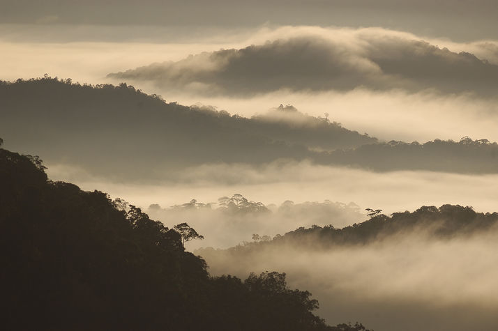 Early morning rolling mountain view from prayer mountain 2hours trekking from The Ngimat Ayu House