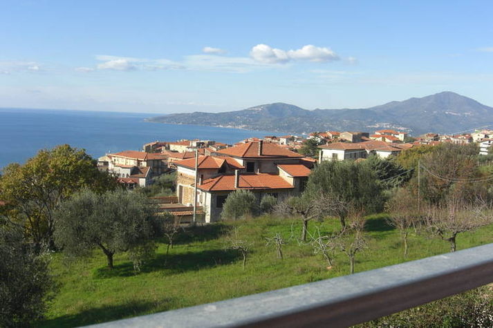 ViewSummer