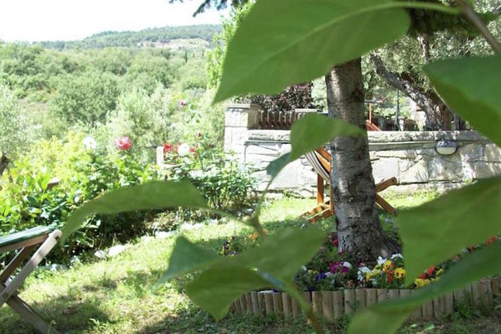GardenSummer
