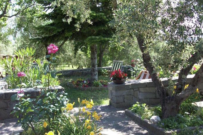 GardenSummer