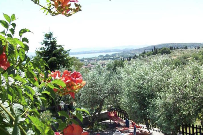 ViewSummer