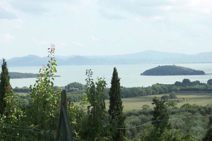 ViewSummer