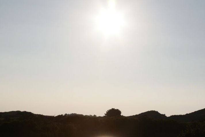 AreaSummer1KM