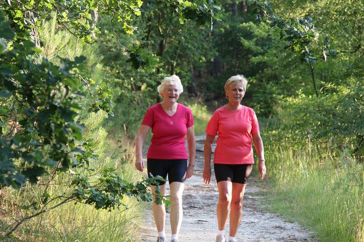 AreaSummer5KM
