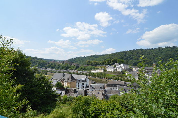 ViewSummer