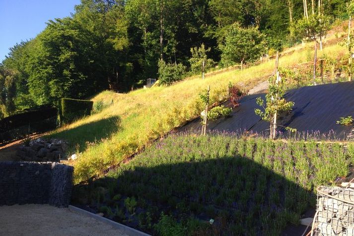 GardenSummer