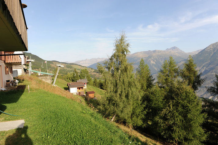 ViewSummer