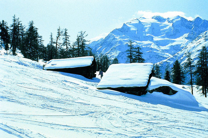 AreaWinter20KM