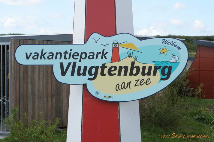 AreaSummer1KM