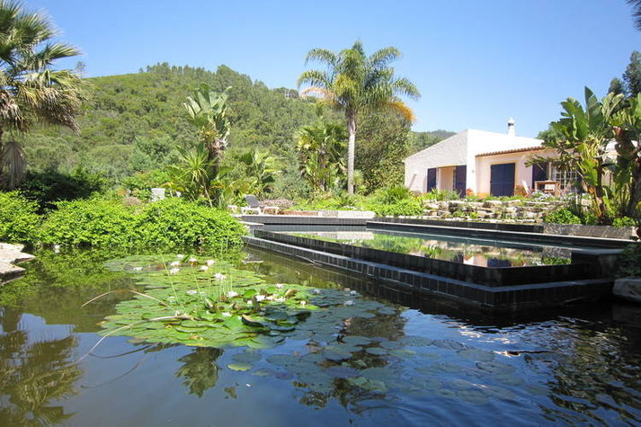 GardenSummer
