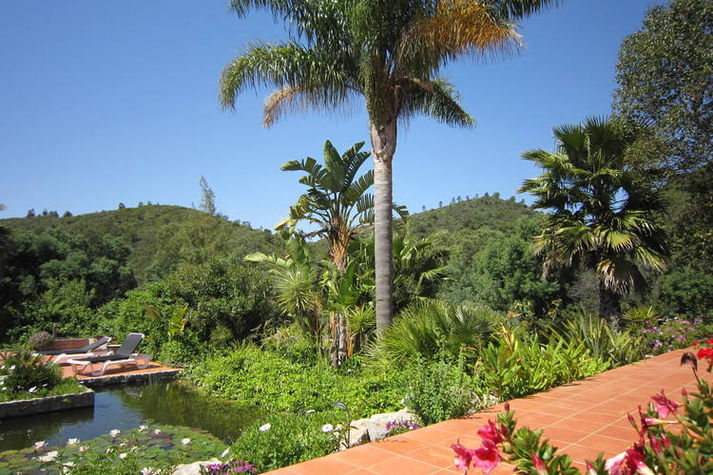 GardenSummer