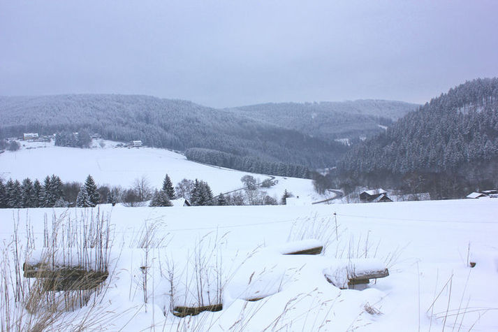 ViewWinter