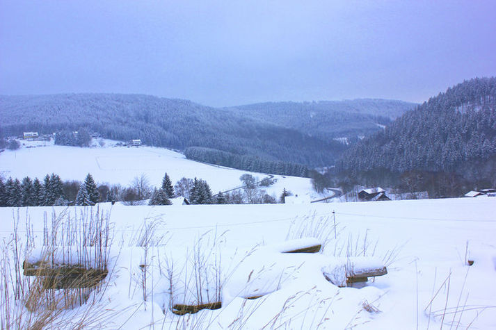 AreaWinter1KM