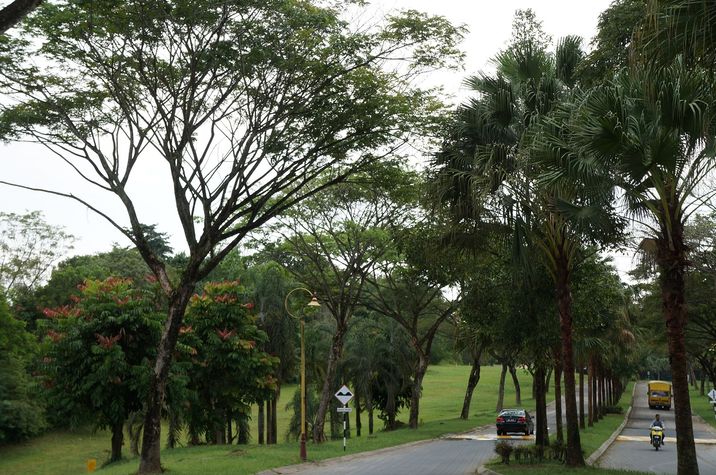 Nice to take stroll in the greens