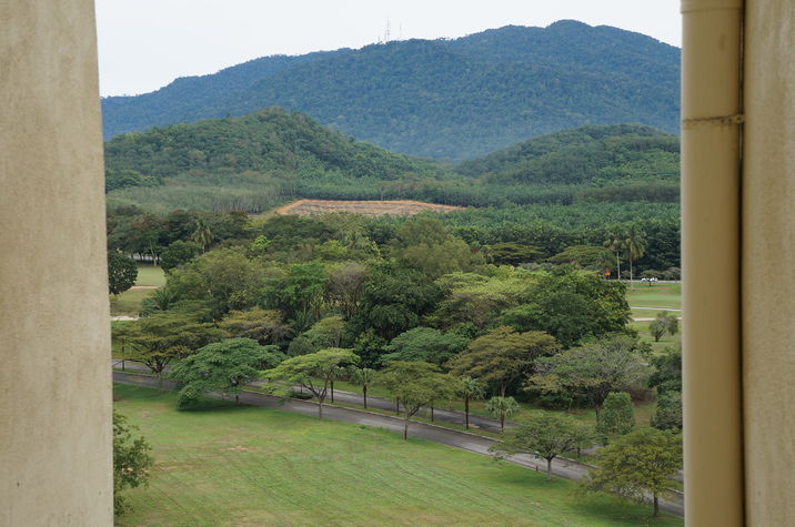 mountain view