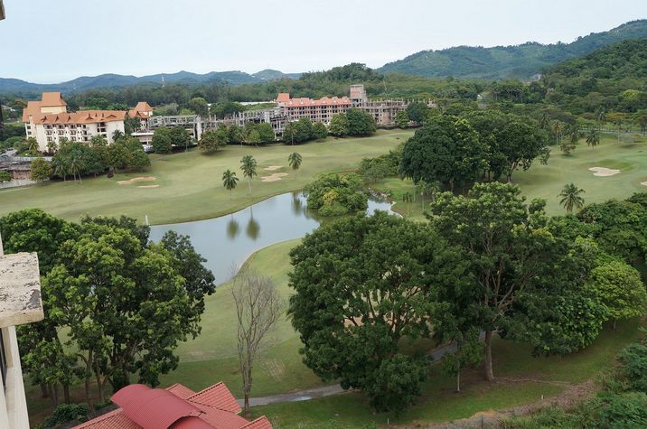 view
