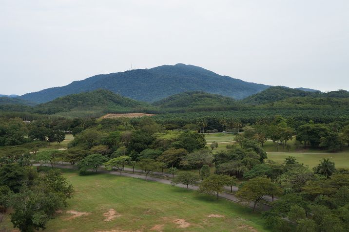 view