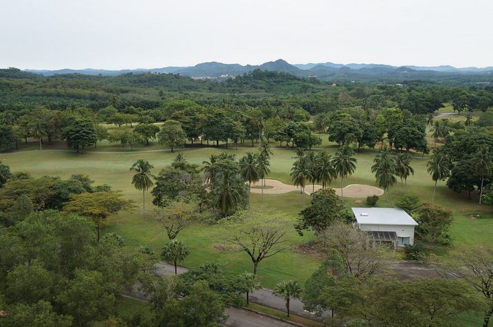 view