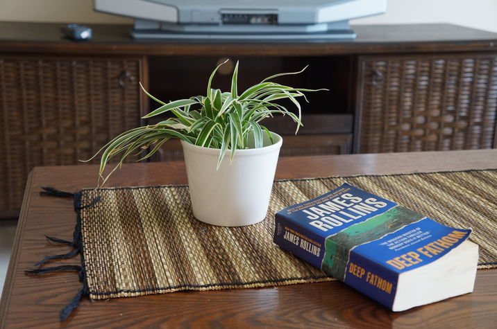 relax reading