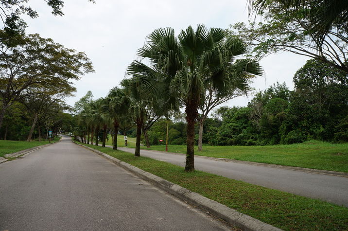 access road