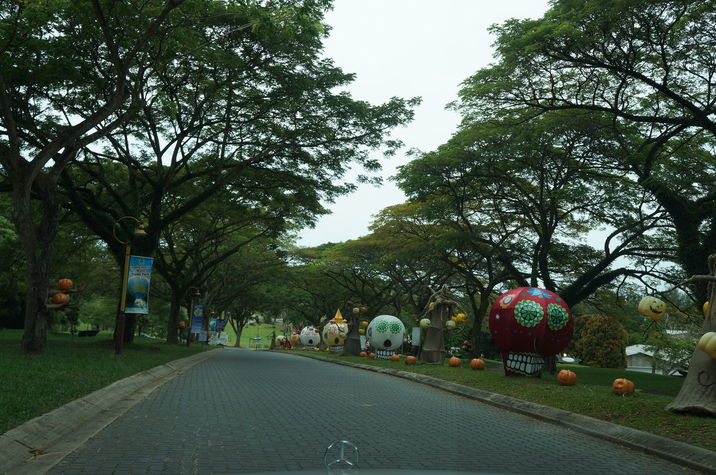 Cowboy town with halloween decoration